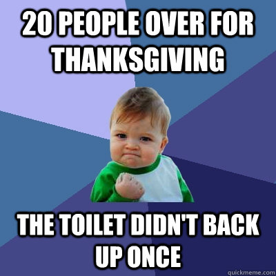 20 People over for Thanksgiving The toilet didn't back up once  Success Kid