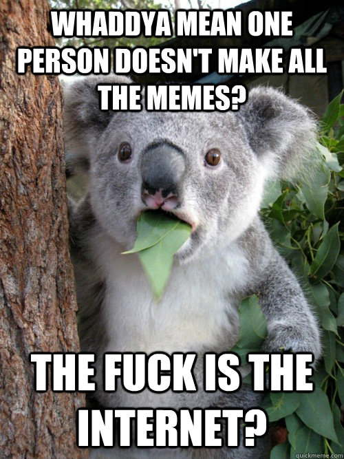 Whaddya mean One person doesn't make all the memes? the fuck is the internet?  koala bear