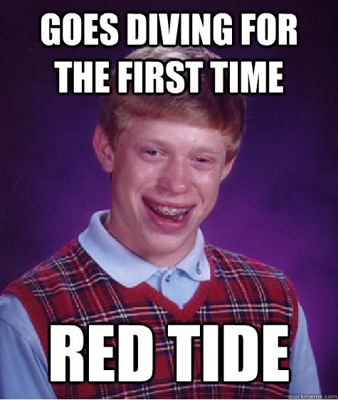 goes diving for the first time red tide  Bad Luck Brian