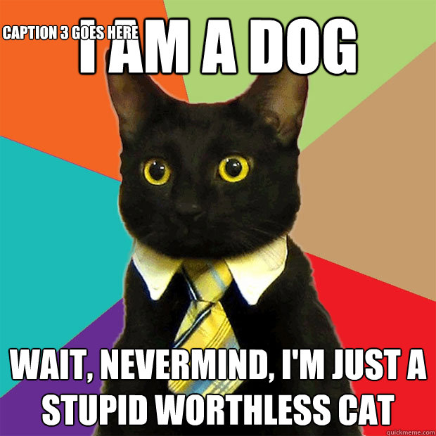 I am a dog Wait, nevermind, I'm just a stupid worthless cat Caption 3 goes here  Business Cat