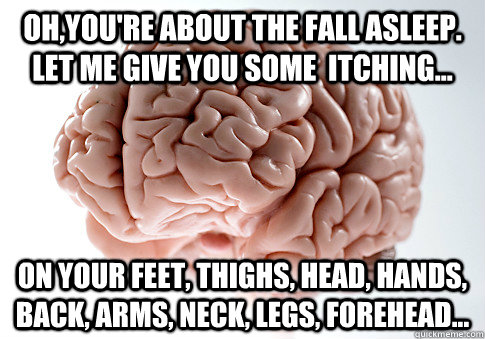 Oh,you're about the fall asleep. let me give you some  itching... on your feet, thighs, head, hands, back, arms, neck, legs, forehead...  Scumbag Brain