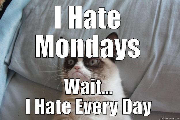 I HATE MONDAYS WAIT... I HATE EVERY DAY Grumpy Cat