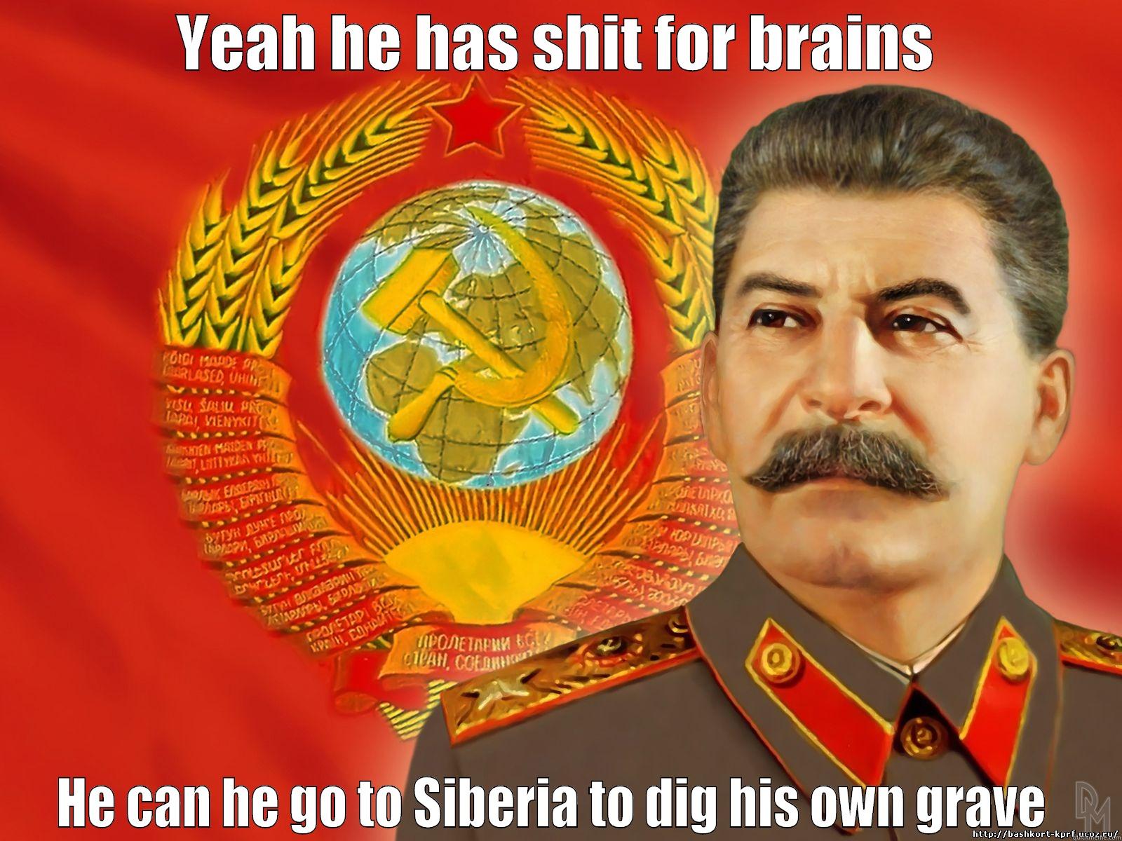 YEAH HE HAS SHIT FOR BRAINS HE CAN HE GO TO SIBERIA TO DIG HIS OWN GRAVE  Misc