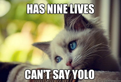 has nine lives can't say yolo - has nine lives can't say yolo  First World Problems Cat