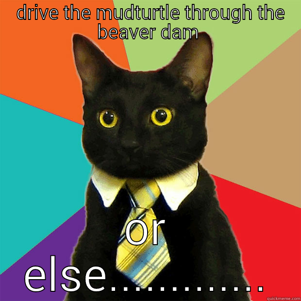  DRIVE THE MUDTURTLE THROUGH THE BEAVER DAM OR ELSE............. Business Cat