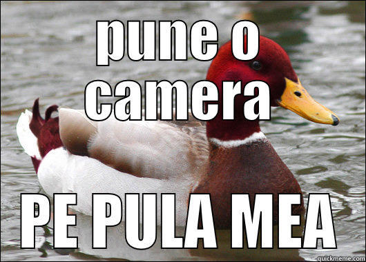 PUNE O CAMERA PE PULA MEA Malicious Advice Mallard