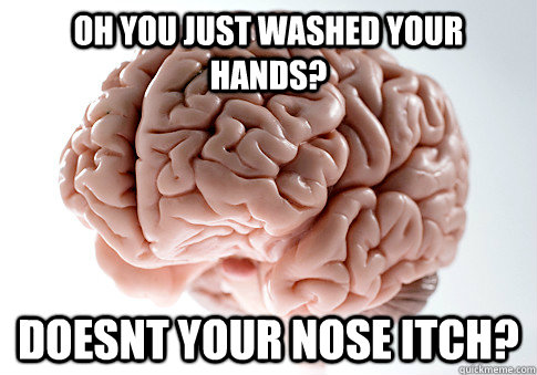 oh you just washed your hands? doesnt your nose itch? - oh you just washed your hands? doesnt your nose itch?  Scumbag Brain