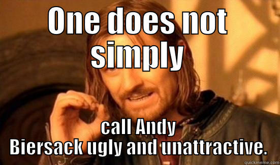 ONE DOES NOT SIMPLY CALL ANDY BIERSACK UGLY AND UNATTRACTIVE. Boromir