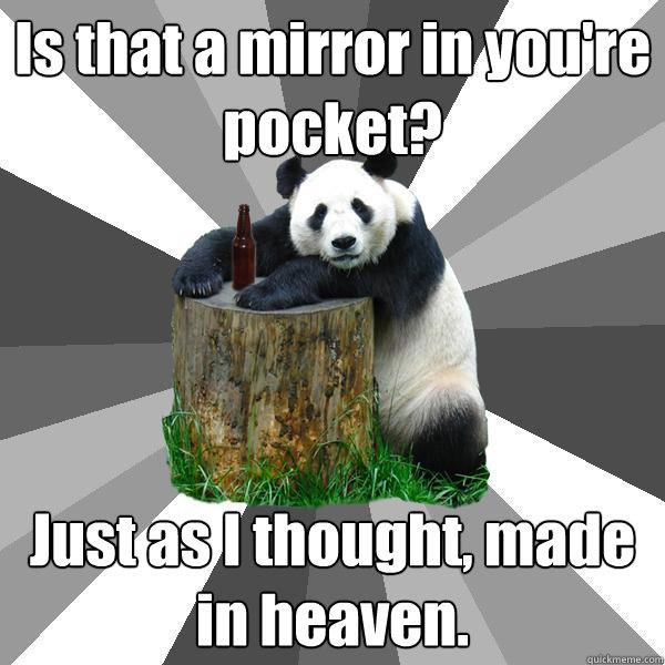 Is that a mirror in you're pocket? Just as I thought, made in heaven.  Pickup-Line Panda