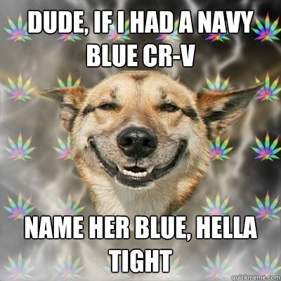 DUDE, If i had a navy blue cr-v name her blue, hella tight  Stoner Dog