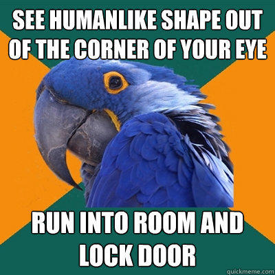 see humanlike shape out of the corner of your eye run into room and lock door - see humanlike shape out of the corner of your eye run into room and lock door  Paranoid Parrot