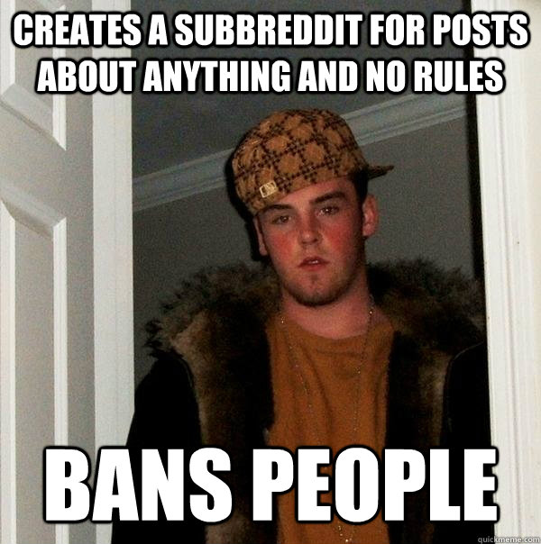 Creates a subbreddit for posts about anything and no rules Bans people  Scumbag Steve