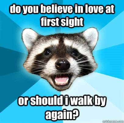 do you believe in love at first sight or should i walk by again?  Lame Pun Coon