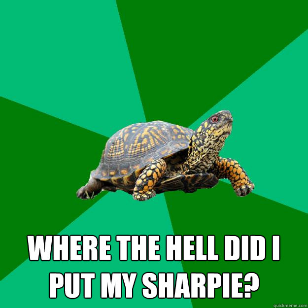  where the hell did i put my sharpie?  Torrenting Turtle