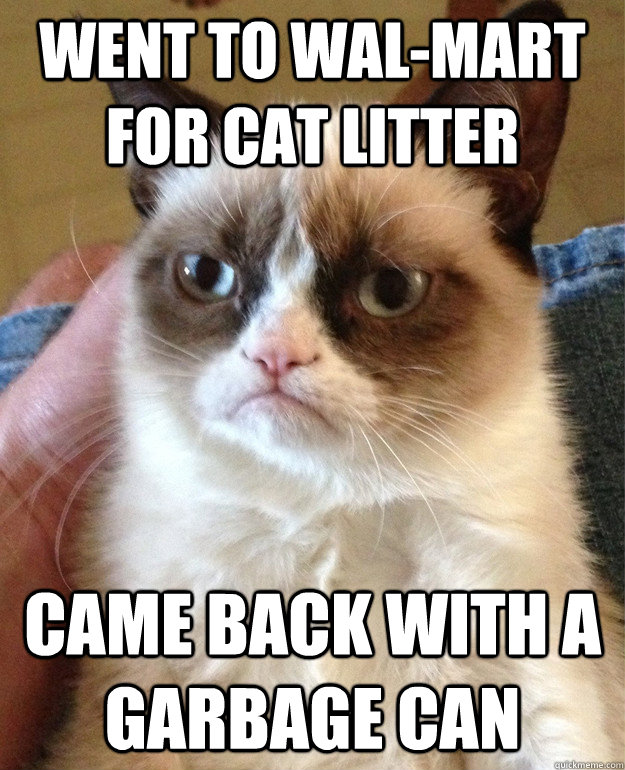 Went to Wal-mart for Cat Litter Came back with a garbage can  Grumpy Cat