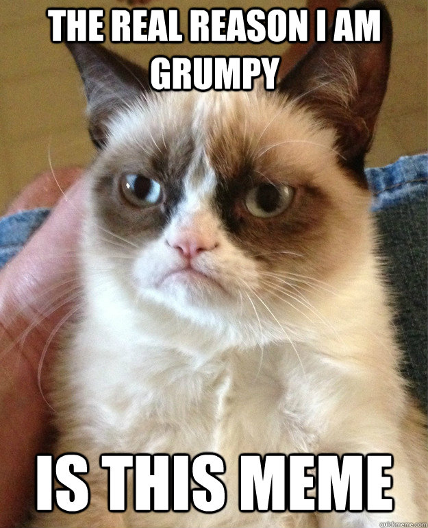 The real reason I am grumpy is this meme  Grumpy Cat