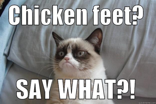 CHICKEN FEET? SAY WHAT?! Grumpy Cat