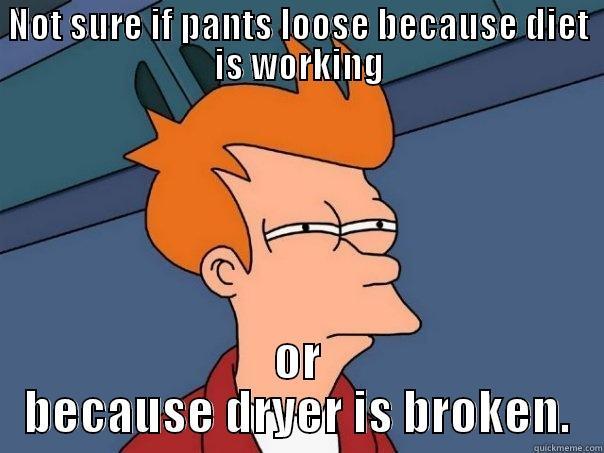 NOT SURE IF PANTS LOOSE BECAUSE DIET IS WORKING OR BECAUSE DRYER IS BROKEN. Futurama Fry