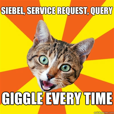 siebel, service request, query giggle every time  Bad Advice Cat