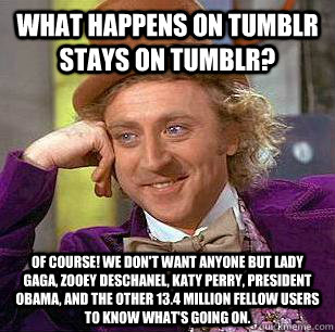 What happens on tumblr stays on tumblr? Of course! We don't want anyone but Lady Gaga, Zooey Deschanel, Katy Perry, President Obama, and the other 13.4 million fellow users to know what's going on.   Condescending Wonka