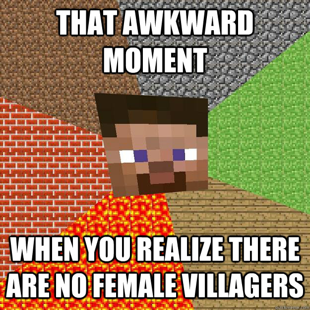 That awkward moment when you realize there are no female Villagers  Minecraft