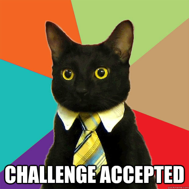  challenge accepted -  challenge accepted  Business Cat