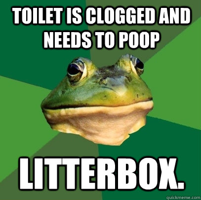 Toilet is clogged and needs to poop Litterbox. - Toilet is clogged and needs to poop Litterbox.  Foul Bachelor Frog