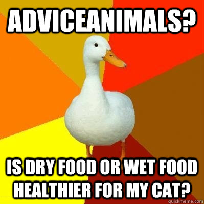 Adviceanimals? Is dry food or wet food healthier for my cat?  
