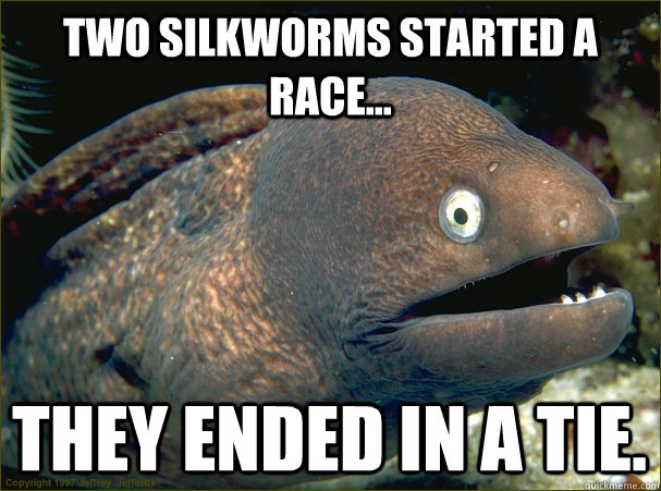 Two silkworms started a race... they ended in a tie.  Bad Joke Eel