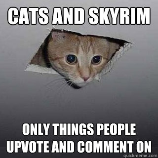 CATS AND SKYRIM ONLY THINGS PEOPLE 
UPVOTE AND COMMENT ON - CATS AND SKYRIM ONLY THINGS PEOPLE 
UPVOTE AND COMMENT ON  Ceiling Cat