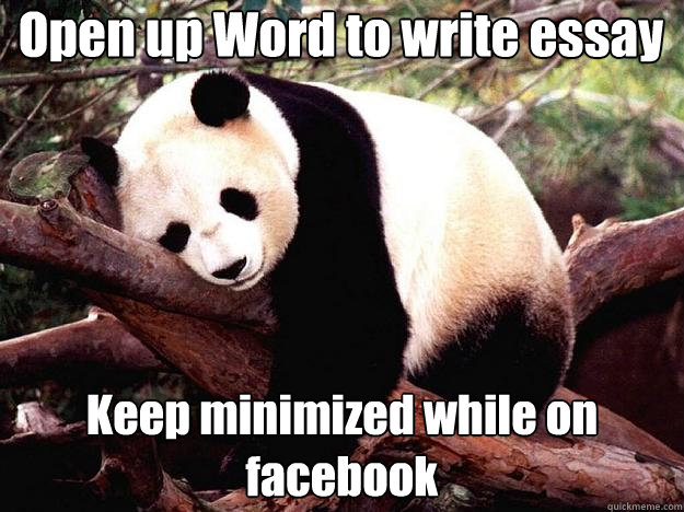 Open up Word to write essay Keep minimized while on facebook  Procrastination Panda