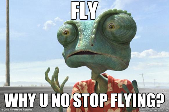 Fly Why U No stop flying?  