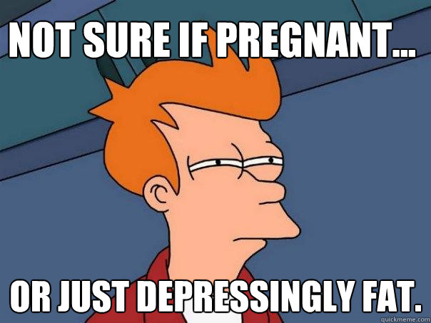 Not sure if pregnant... Or just depressingly fat.  Futurama Fry