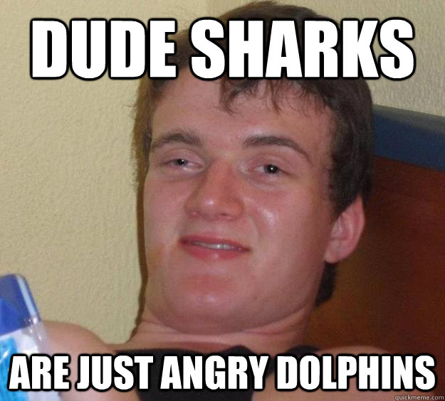 Dude sharks are just angry dolphins  10 Guy