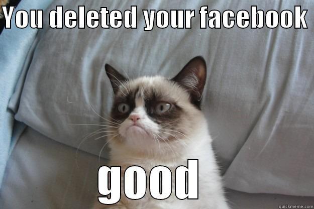 YOU DELETED YOUR FACEBOOK  GOOD  Grumpy Cat