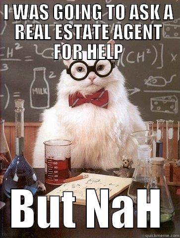 I WAS GOING TO ASK A REAL ESTATE AGENT FOR HELP BUT NAH Chemistry Cat