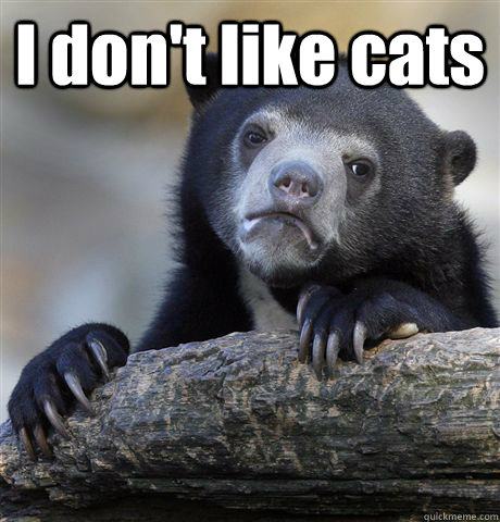 I don't like cats   Confession Bear