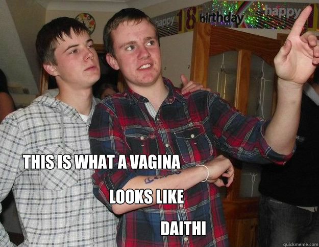 This Is What A Vagina Looks Like Daithi Vagina Daithi Quickmeme