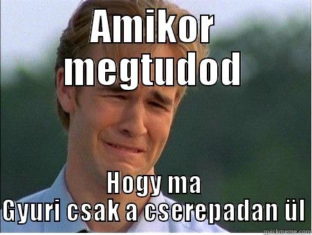 AMIKOR MEGTUDOD HOGY MA GYURI CSAK A CSEREPADAN ÜL 1990s Problems