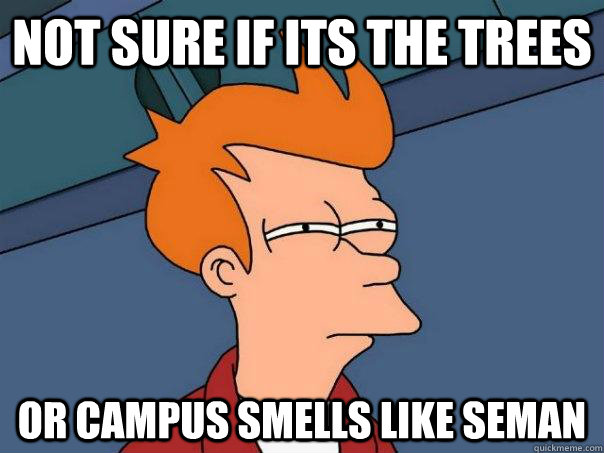 Not sure if its the trees Or campus smells like seman - Not sure if its the trees Or campus smells like seman  Futurama Fry