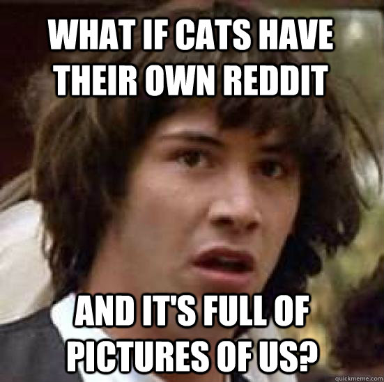 What if cats have their own Reddit and it's full of pictures of us?  conspiracy keanu