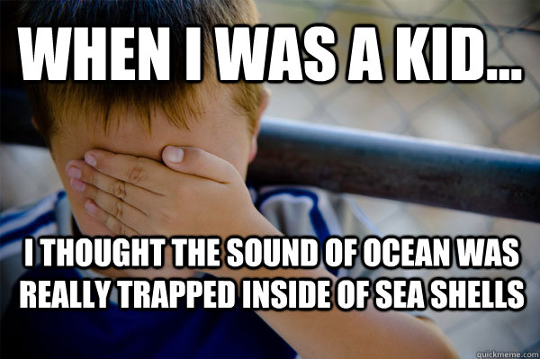 WHEN I WAS A KID... I thought the sound of ocean was really trapped inside of sea shells  Confession kid