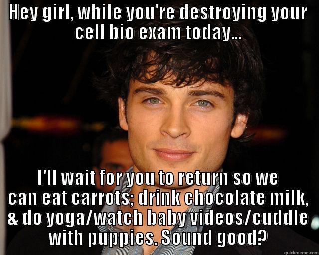 HEY GIRL, WHILE YOU'RE DESTROYING YOUR CELL BIO EXAM TODAY... I'LL WAIT FOR YOU TO RETURN SO WE CAN EAT CARROTS; DRINK CHOCOLATE MILK, & DO YOGA/WATCH BABY VIDEOS/CUDDLE WITH PUPPIES. SOUND GOOD? Misc