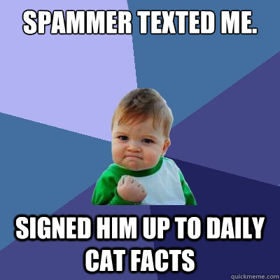 Spammer texted me. Signed him up to Daily Cat Facts - Spammer texted me. Signed him up to Daily Cat Facts  Success Kid