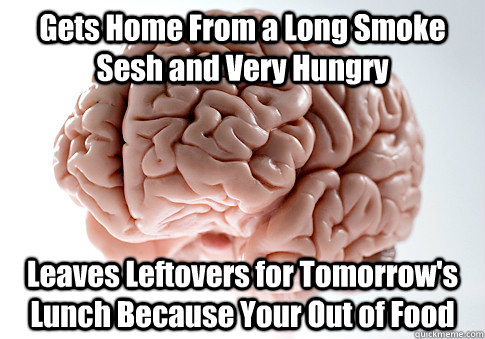 Gets Home From a Long Smoke Sesh and Very Hungry Leaves Leftovers for Tomorrow's Lunch Because Your Out of Food  Scumbag Brain