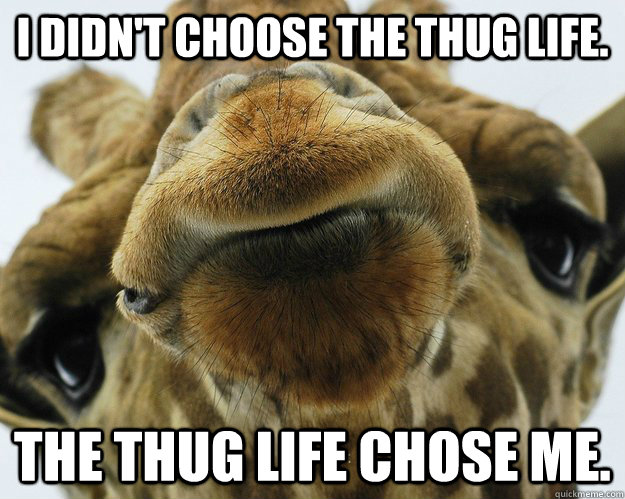 I didn't choose the thug life. The thug life chose me.  Thug Life Giraffe