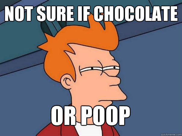 Not sure if chocolate or poop  Futurama Fry