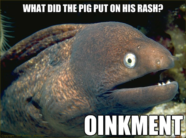 What did the pig put on his rash? Oinkment  Bad Joke Eel