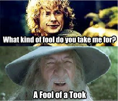 What kind of fool do you take me for? A Fool of a Took  Fool of a Took