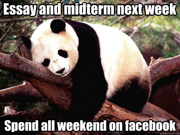 Essay and midterm next week Spend all weekend on facebook  Procrastination Panda